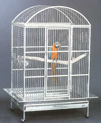 Avian Adventures Grande: Playtop and Dometop